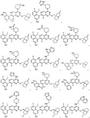 Figure imgf000754_0001