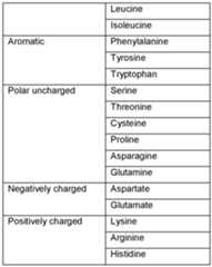 Figure imgf000024_0001