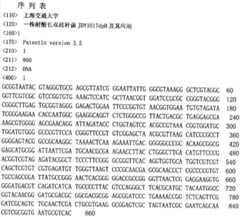 Figure BDA0000481698460000081