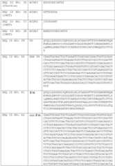 Figure BDA0002591526010000461