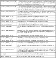 Figure imgf000562_0001