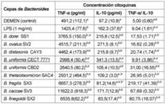 Figure imgf000040_0001