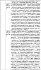 Figure BDA0004033970230006031