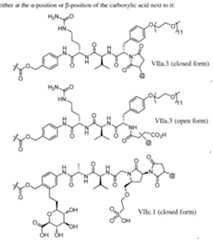 Figure imgf000496_0001