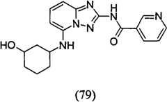 Figure GPA00001035513100981