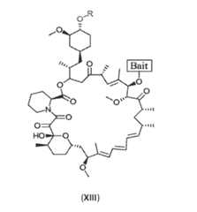 Figure imgf000077_0001