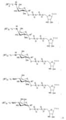 Figure 112009026250918-PCT00172