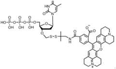 Figure imgf000238_0001
