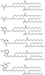 Figure imgf000310_0001