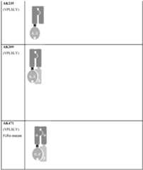 Figure imgf000152_0001