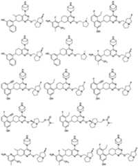 Figure PCTCN2022074782-appb-000077