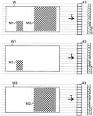 Figure imgf000031_0002