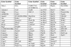 Figure imgf000039_0001