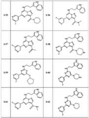 Figure 0007232244000070