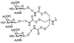 Figure 0007429103000194