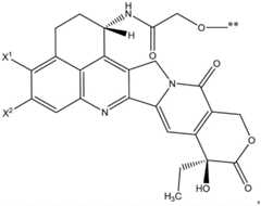Figure FDA0004014940860000171
