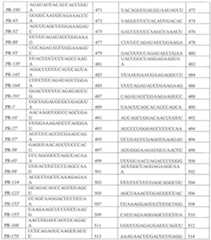Figure imgf000024_0001