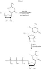 Figure US08754062-20140617-C00121