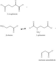 Figure US08133704-20120313-C00026