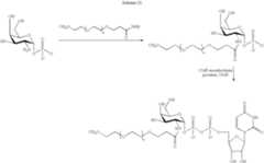 Figure US07297511-20071120-C00123