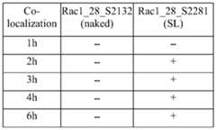 Figure imgf000065_0001