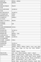 Figure BDA0004033970230003981