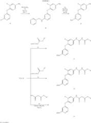 Figure US07459562-20081202-C00014