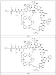 Figure 2024156841000338