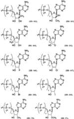 Figure imgf000051_0001