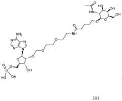 Figure imgf000304_0002