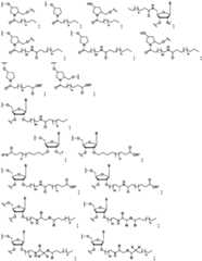 Figure FDA0003746740790000011