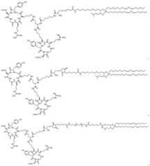 Figure imgf000343_0001