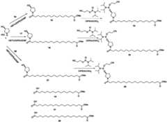 Figure BDA0003746740800001471