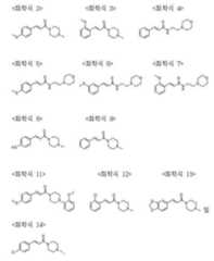 Figure 112021013268423-pat00056