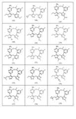 Figure imgf000063_0001