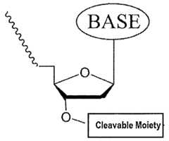 Figure imgf000383_0001