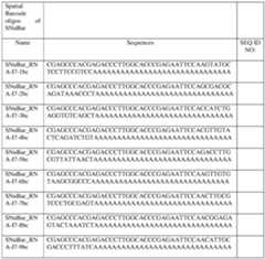 Figure imgf000081_0001