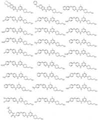 Figure imgf000032_0001