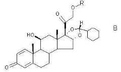 Figure 112009023285935-PCT00022