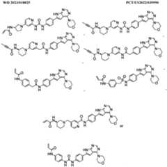 Figure imgf000110_0001