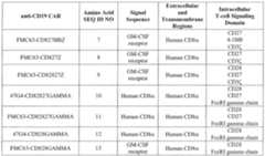 Figure imgf000027_0001