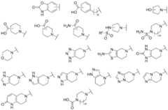 Figure 112017089748312-pat00193