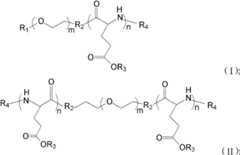 Figure FDA0000135935960000011