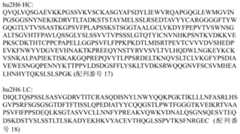 Figure 2022509156000025