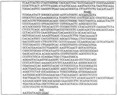 Figure 112005012020318-pct00010