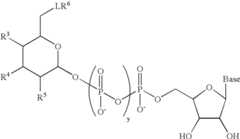 Figure US07405198-20080729-C00028