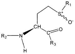 Figure imgf000005_0002
