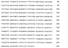 Figure 105140410-A0202-12-0253-67