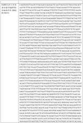 Figure BDA0003154168970000261