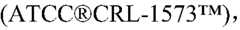 Figure PCTCN2022139203-appb-000002
